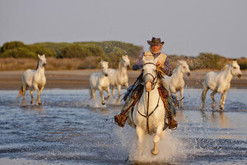 Balades à cheval en Camargue, à l'occasion de votre séjour à l'hôtel 3 étoiles Le Devem de Mirapier